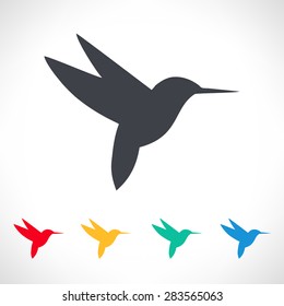 Hummingbird Icon