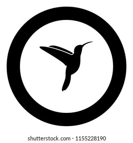 Hummingbird icon black color in round circle