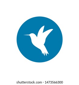 Hummingbird icon. Flat vector illustration on white background.
