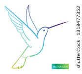 Hummingbird Icon Or Logo Design Vector Image On White Background.  Isolated Colibri Symbol Vector Illustration.