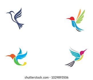 Hummingbird icon logo and symbols template vector