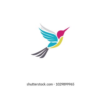 Hummingbird icon logo and symbols template vector