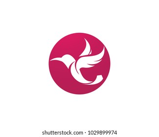 Hummingbird icon logo and symbols template vector