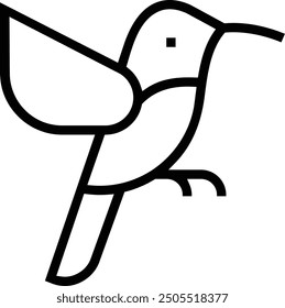 Icono de colibrí. Diseño de estilo lineal delgado aislado sobre fondo blanco