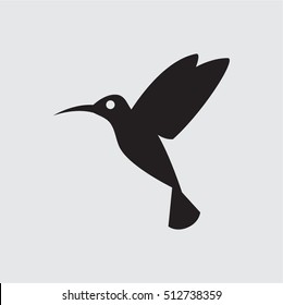 hummingbird icon vector