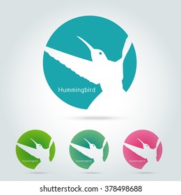 Hummingbird icon Vector illustration