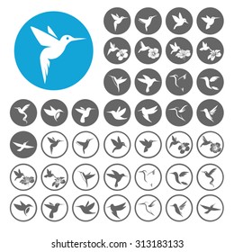 Hummingbird icons set. Illustration EPS10