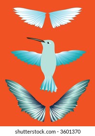 hummingbird illustration, blue wings, fly