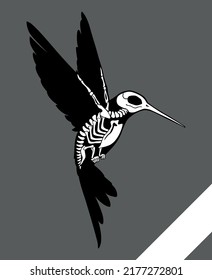 Hummingbird-Illustration in verschiedenen Facetten.