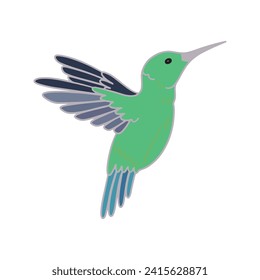 Hummingbird illustration vector!! birds vector