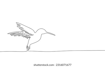 Hummingbird  isolated on white background. One line continuous vector illustration. Line art, outline.