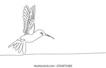 Hummingbird isolated on white background. One line continuous vector illustration. Line art, outline.