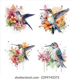 Hummingbird isolated set in white background, watercolor vector illustration.