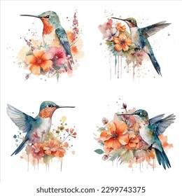 Hummingbird isolated set in white background, watercolor vector illustration.