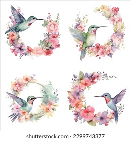 Hummingbird isolated set in white background, watercolor vector illustration.