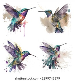 Hummingbird isolated set in white background, watercolor vector illustration.