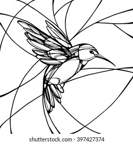 Hummingbird. Isolated vector. Black and white illustration