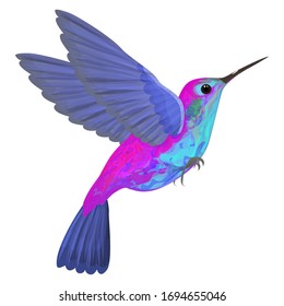 Hummingbird isolated. Vector illustration. EPS 10