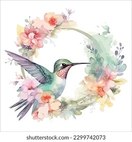 Hummingbird isolated in white background, watercolor vector illustration.