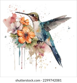 Hummingbird isolated in white background, watercolor vector illustration.