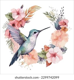 Hummingbird isolated in white background, watercolor vector illustration.