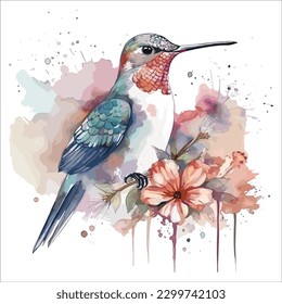 Hummingvogel einzeln auf weißem Hintergrund, Aquarell, Vektorgrafik.