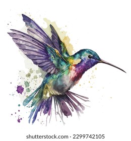 Hummingvogel einzeln auf weißem Hintergrund, Aquarell, Vektorgrafik.