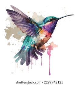 Hummingbird isolated in white background, watercolor vector illustration.