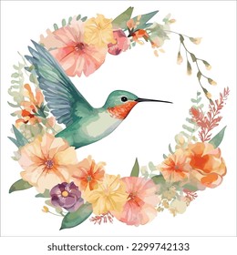 Hummingbird isolated in white background, watercolor vector illustration.