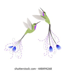 Hummingbird isolated Vector illustration  EPS 10