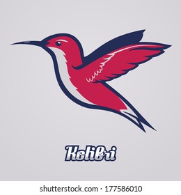 Hummingbird / Kolibri / Vector