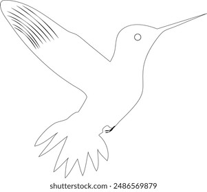 hummingbird line art, outline vector design for logo design, T-shirt design 