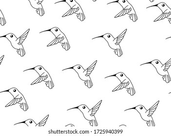 Hummingbird line drawings, seamless texture pattern, vector illustration black and white, horizontal background
