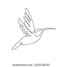 hummingbird line illustration template fly