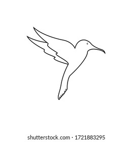 hummingbird line logo icon designs,vector