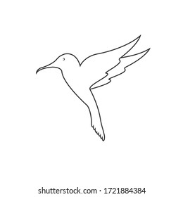 hummingbird line logo icon designs,vector