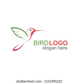 Hummingbird Line Style Logo Design Template