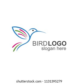Hummingbird Line Style Logo Design Template