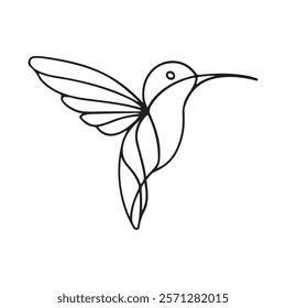 Hummingbird lineart drawing design vector design