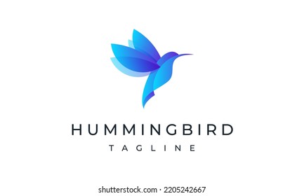 Hummingbird Logo - Colorful Bird Logo Art Design