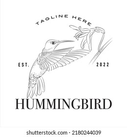 Hummingbird logo, company logo design idea, vector illustration