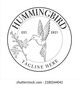 Hummingbird logo, company logo design idea, vector illustration