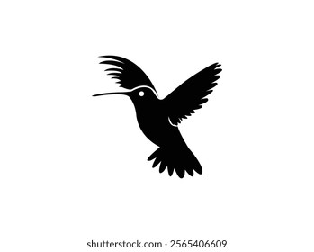 Hummingbird logo design bird vector image