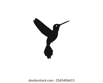 Hummingbird logo design bird vector image