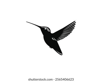 Hummingbird logo design bird vector image