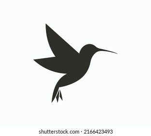 Hummingbird logo design icon vector template.