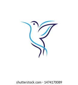 Hummingbird Logo Design Line Art Stock Vector