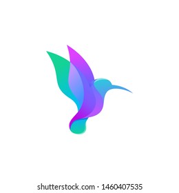 Hummingbird Logo Design Vector Template
