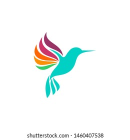 Hummingbird Logo Design Vector Template