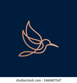 Hummingbird Logo Design Vector Template